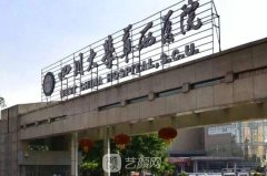 成都整容醫(yī)院排行榜2025：