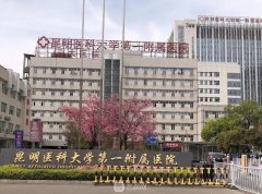 昆明哪里植發(fā)比較好？盤