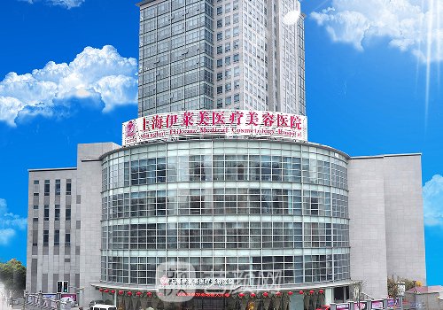 上海伊萊美朱迪教授怎么