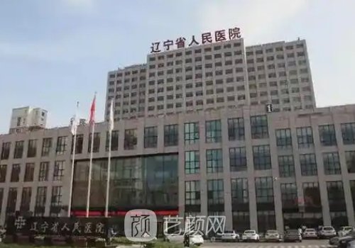 遼寧省人民醫(yī)院整形科袁