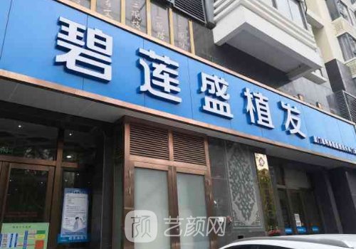 佛山種發(fā)機(jī)構(gòu)排名|2025全新