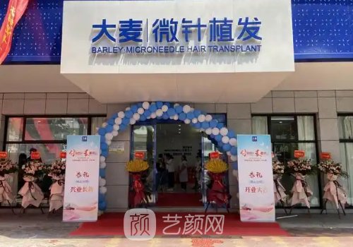 杭州種發(fā)多少錢(qián)?2025收費(fèi)標(biāo)
