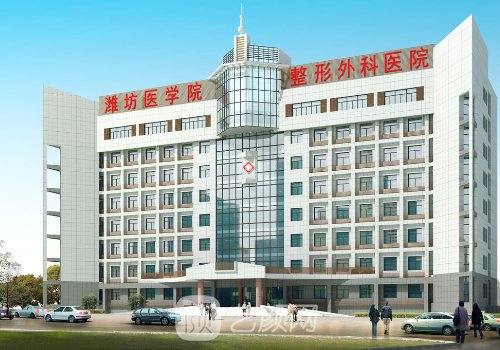 楊彪炳跟牟少春做整形哪