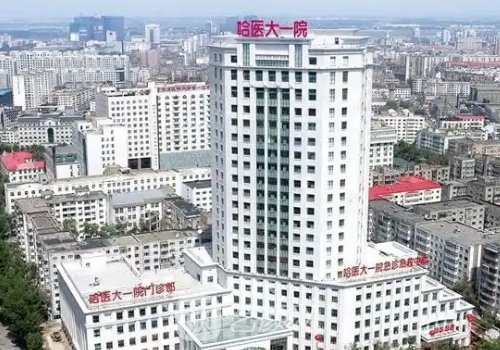 祝仰東切眉和眼袋做的咋