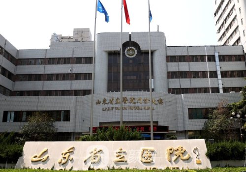 山東省立醫(yī)院隆胸專家排