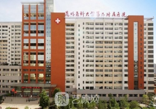 何永靜失敗案例是真的嗎