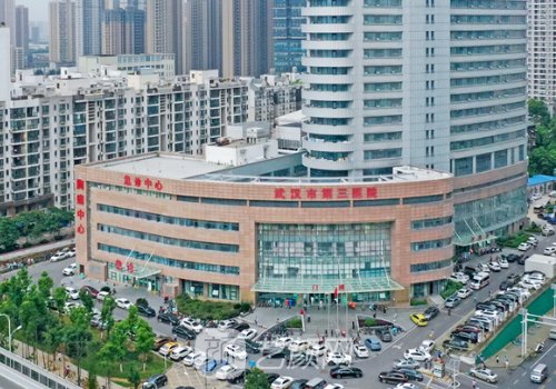 武漢市第三醫(yī)院整形科怎