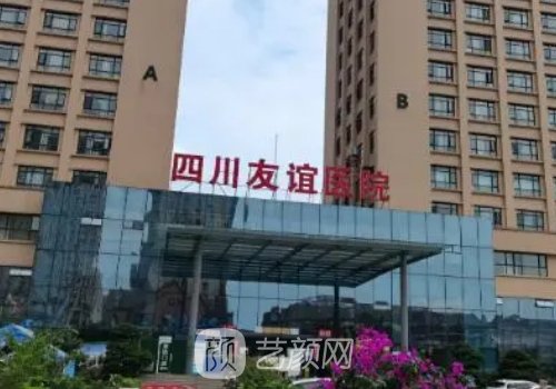 四川友誼醫(yī)院整形支持分